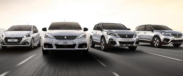 Peugeot Türkiye Daralan Pazarda Büyüyor