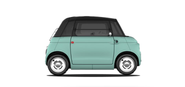 Alternate Text
